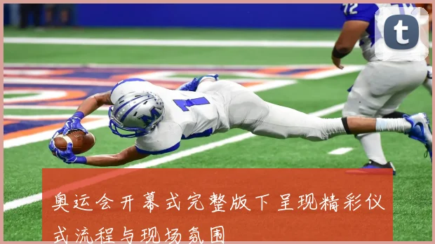 奥运会开幕式完整版下呈现精彩仪式流程与现场氛围