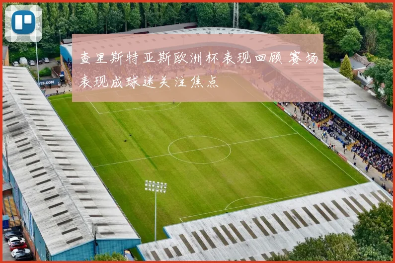 查里斯特亚斯欧洲杯表现回顾 赛场表现成球迷关注焦点