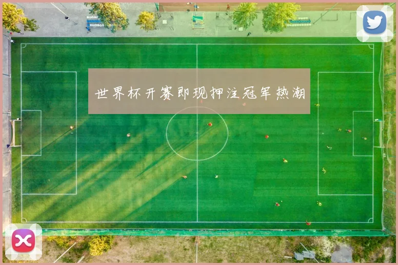 世界杯开赛即现押注冠军热潮