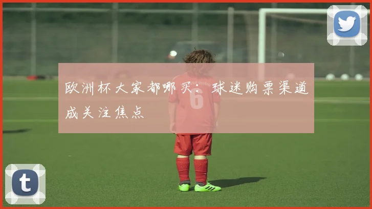 欧洲杯大家都哪买:球迷购票渠道成关注焦点