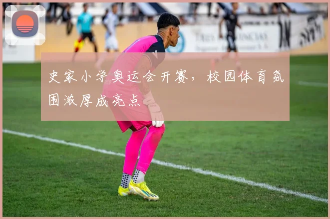 史家小学奥运会开赛,校园体育氛围浓厚成亮点