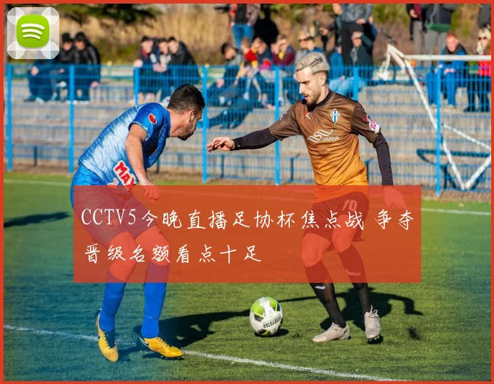 CCTV5今晚直播足协杯焦点战 争夺晋级名额看点十足