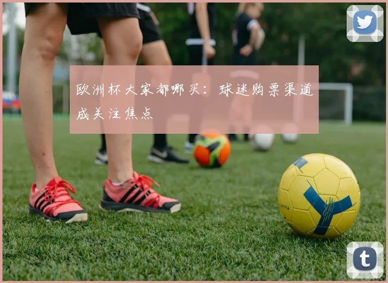 欧洲杯大家都哪买:球迷购票渠道成关注焦点