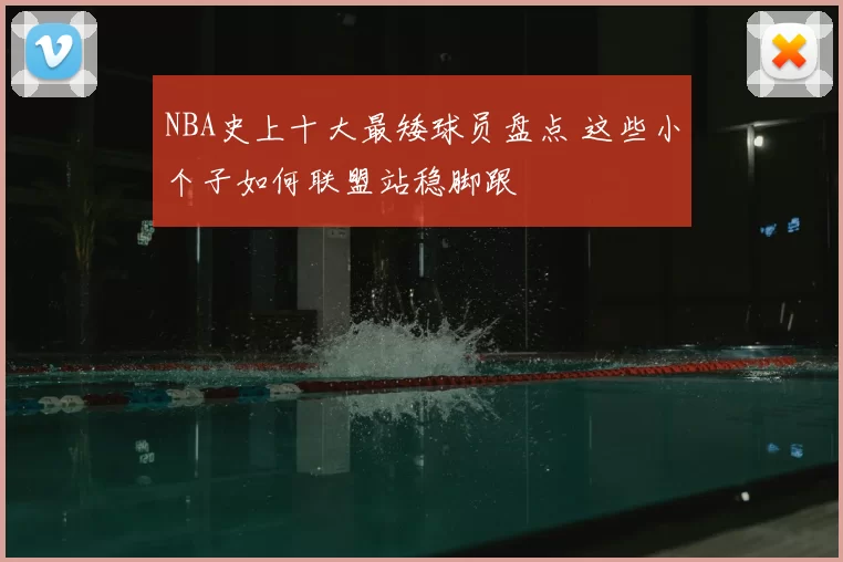 NBA史上十大最矮球员盘点 这些小个子如何联盟站稳脚跟