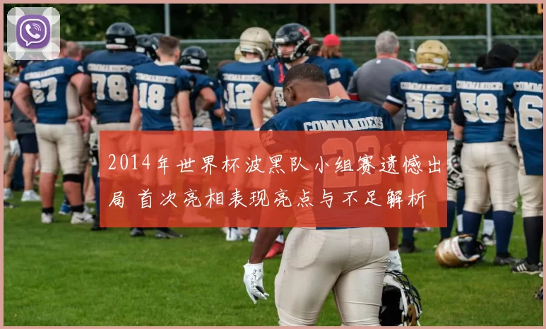 2014年世界杯波黑队小组赛遗憾出局 首次亮相表现亮点与不足解析