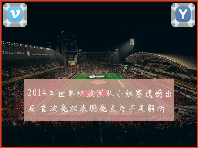2014年世界杯波黑队小组赛遗憾出局 首次亮相表现亮点与不足解析