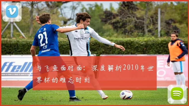 与飞鱼面对面:深度解析2010年世界杯的难忘时刻