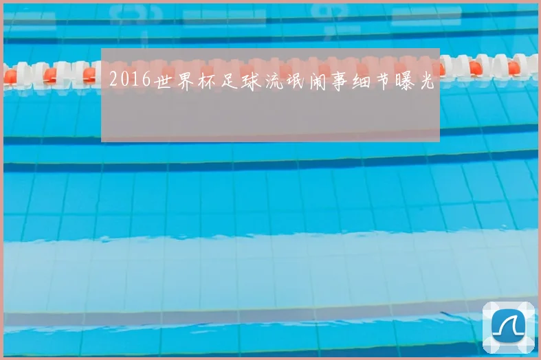 2016世界杯足球流氓闹事细节曝光