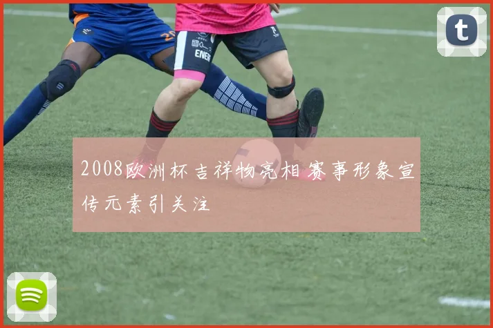 2008欧洲杯吉祥物亮相 赛事形象宣传元素引关注
