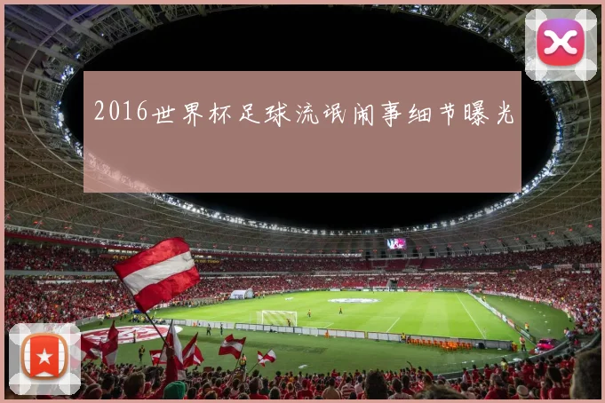 2016世界杯足球流氓闹事细节曝光